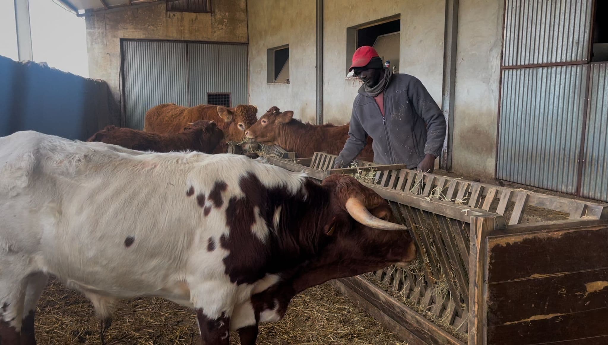 Inserción de Empleo en Teruel 2025