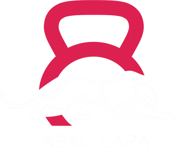 Logo de Xexu Lara